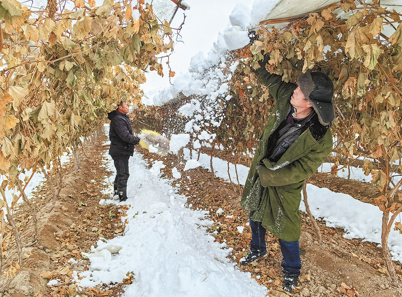 雪后勞動忙